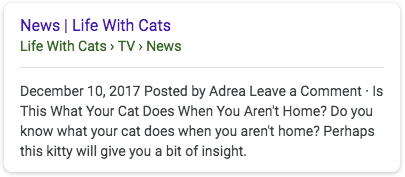 Google Search Breadcrumb