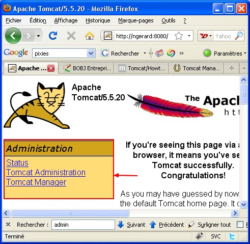 Tomcat Administration Link