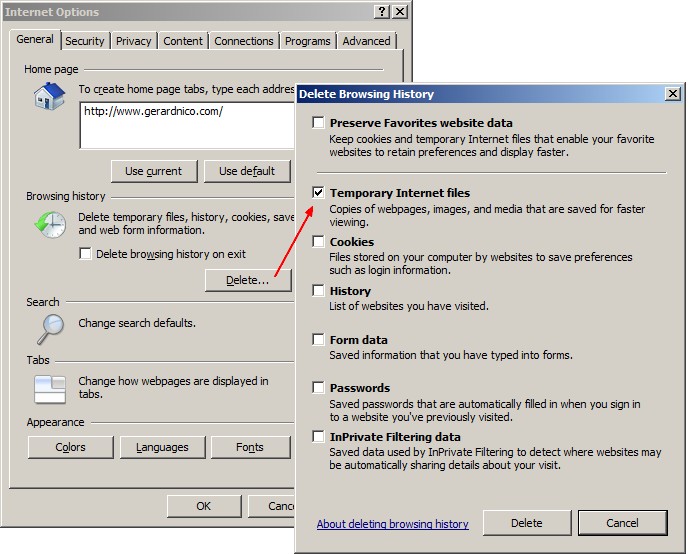 Internet Explorer Browser Cache