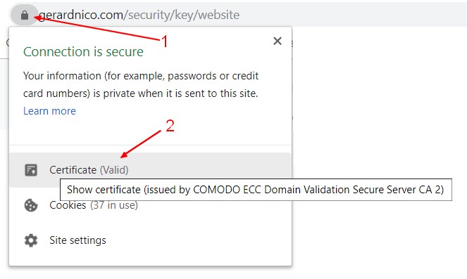 Web Site Certificate
