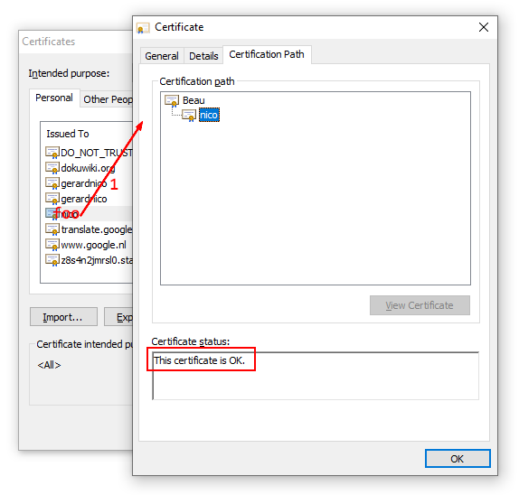 Chrome Certificate Ok