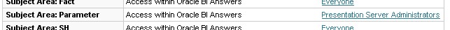 Obiee Parameter Subject Privilege
