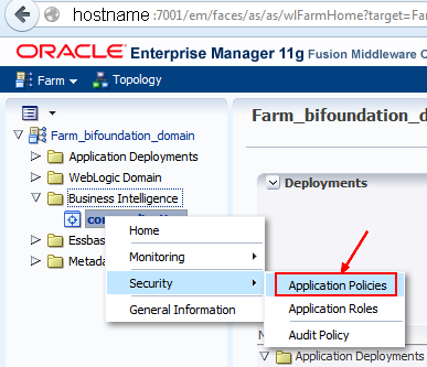 Obiee Application Policies