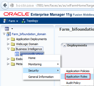 Weblogic Em Application Role